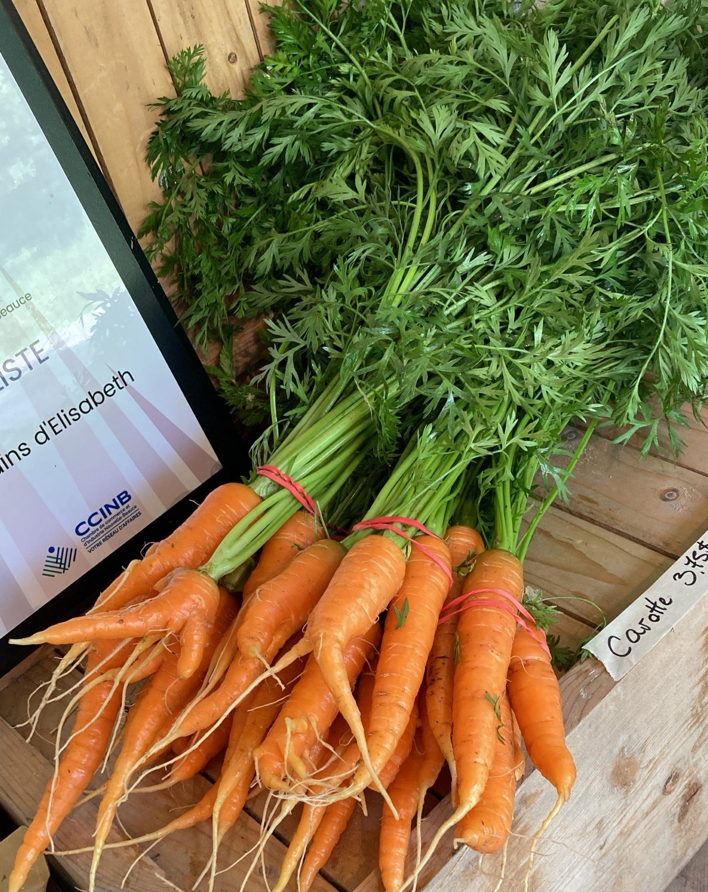 Carottes biologiques