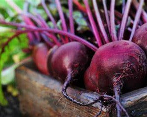 Betteraves rouges sucrées