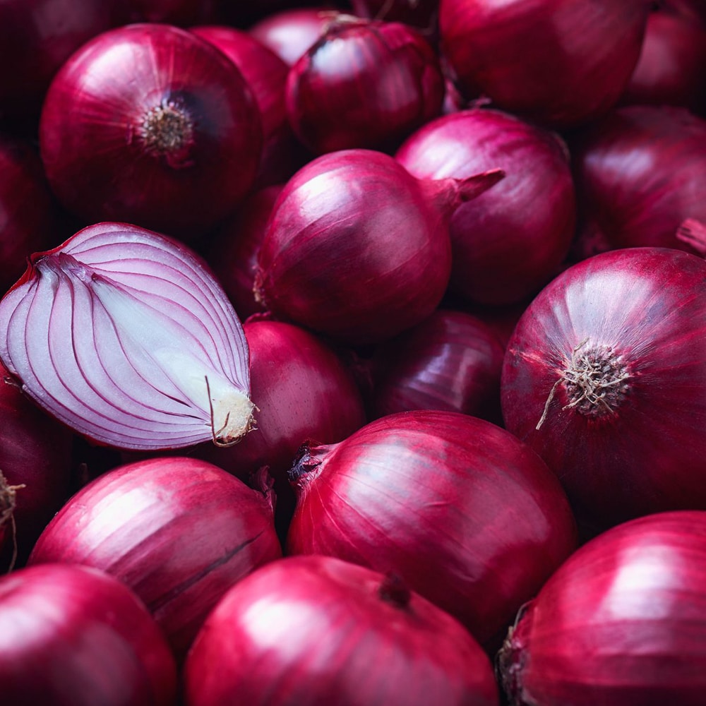 Oignons rouges biologiques