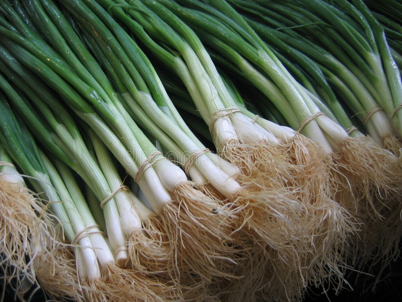 Oignons verts biologiques