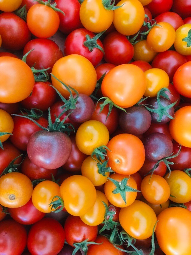 Tomates cerises biologiques