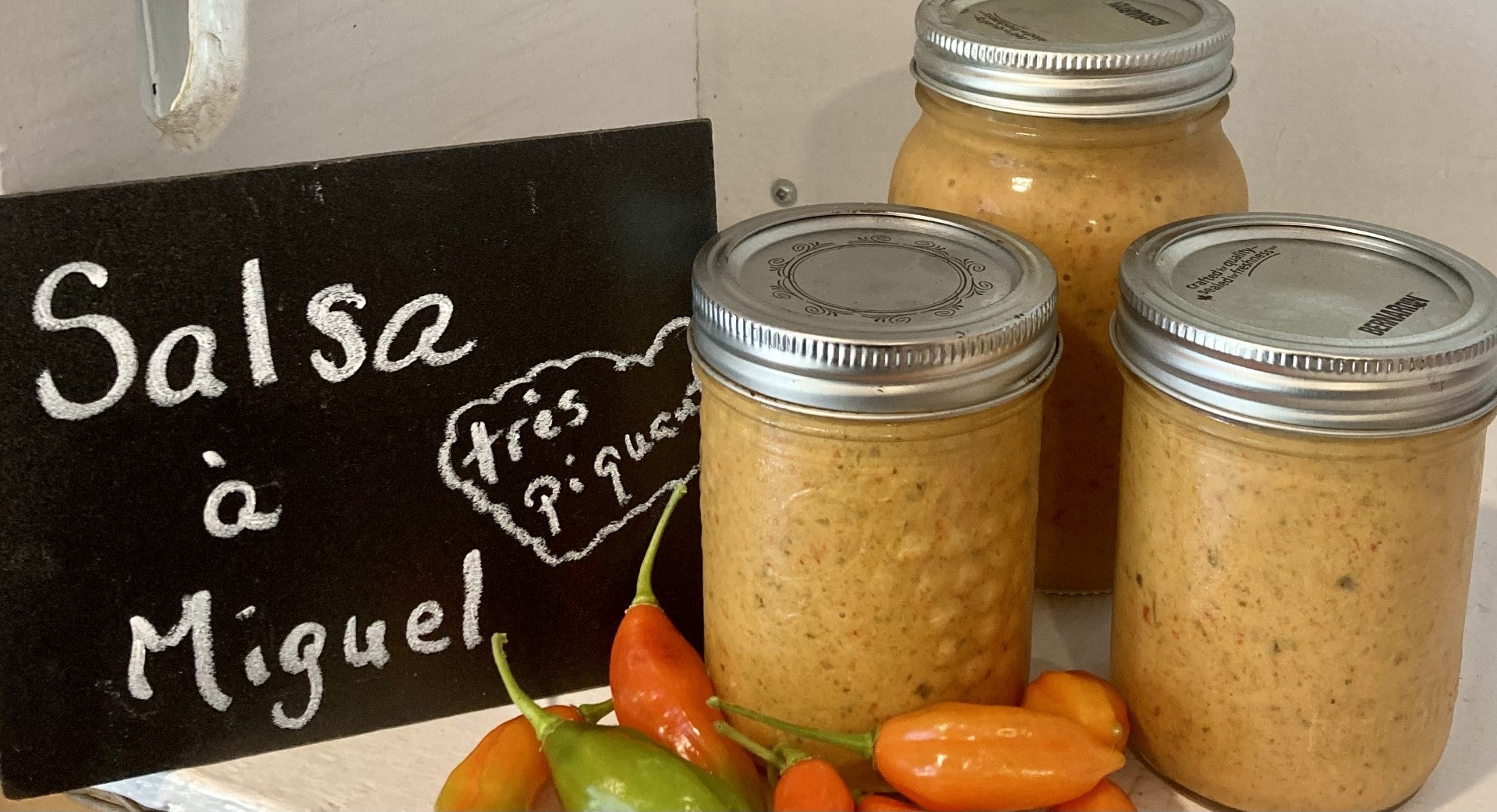 Salsa à Miguel Les jardins d'Elisabeth