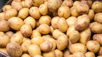 Pommes de terre nouvelles grelots biologiques