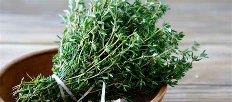 Thym frais biologique